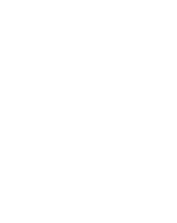 Панель Hiwood DM625 Фитополимер 3000*600*4 мм-foto4