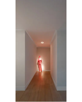 C355 Карниз Orac Decor Полиуретан-foto4