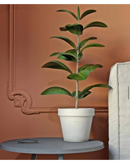 Молдинг Bello Deco М15 XPS Полимер 2000*35*20 мм-foto8