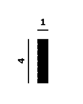 Молдинг P230 Перфект Плюс XPS Полимер 2000*40*10 мм-foto2