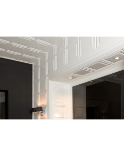 D503 Накладная панель Orac Decor Дюрополимер-foto2