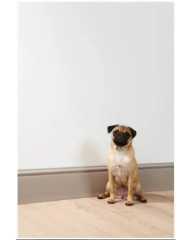 Плинтус NMC Wallstyl FL17 18х170х2000 мм-foto6