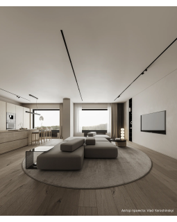 Парящий плинтус универсальный Decaro D003 Алюминий 2000*50*14,5 мм-foto16