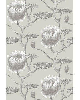 Обои Cole & Son The Contemporary Collection 95/4025