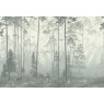 Фрески Affresco Ботаника ID135997