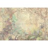 Фрески Affresco Ботаника ID136029