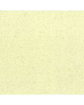Обои Aura Plain Resource vol.1 H2891105