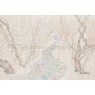 Фрески Affresco Ботаника ID136123