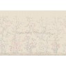 Фрески Affresco Ботаника ID136116