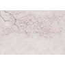 Фрески Affresco Ботаника ID136084