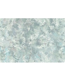 Фрески Affresco Ботаника ID135974