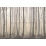 Фрески Affresco Ботаника ID135978