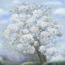 Фрески Affresco Ботаника ID136078