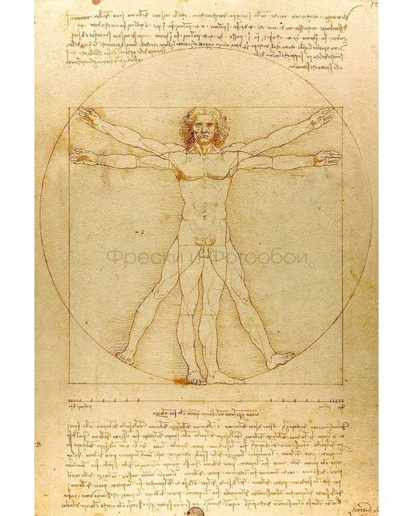Фрески Affresco Графика и Карты ID136454