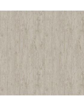 Обои Architector Pavone PA01635