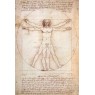 Фрески Affresco Графика и Карты 5014