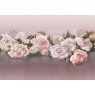 Фрески Affresco Ботаника ID136052