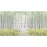 Фрески Affresco Ботаника ID136007