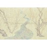 Фрески Affresco Ботаника ID136097