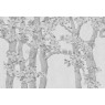 Фрески Affresco Ботаника ID136002