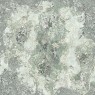 Фрески Affresco Ботаника ID136112