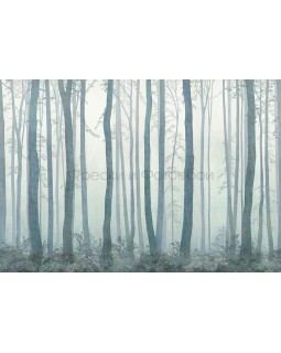 Фрески Affresco Ботаника ID135986