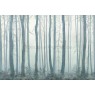 Фрески Affresco Ботаника ID135986