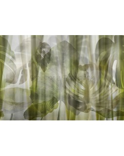 Фрески Affresco Ботаника ID136044