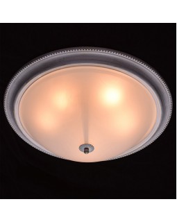 Накладной светильник MW-Light 450013505-foto7