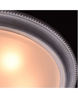 Накладной светильник MW-Light 450013505-foto2