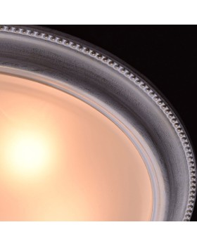 Накладной светильник MW-Light 450013505-foto2