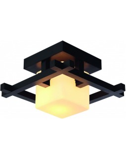 Накладной светильник ARTE Lamp A8252PL-1CK
