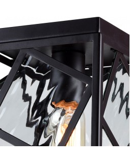 Накладной светильник Favourite 1785-1U-foto2