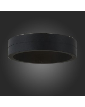 Светильник настенный ST-Luce SL562.401.01-foto2
