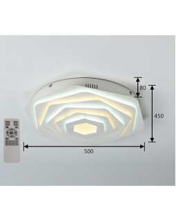 Накладной светильник F-Promo 2289-5C-foto4