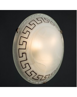 Накладной светильник ARTE Lamp A3650PL-3AB-foto2