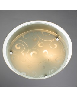 Накладной светильник ARTE Lamp A4806PL-2CC-foto2