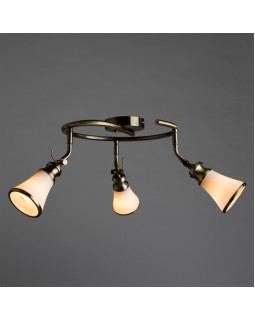Спот ARTE Lamp A9231PL-3AB-foto2