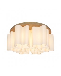 Накладная люстра Lightstar 802075-foto3