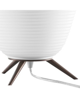 Настольная лампа Lightstar 805912-foto4