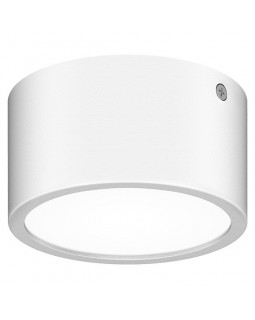 Уличный светильник Lightstar 380163-foto2
