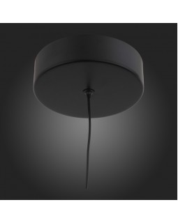 Подвесной светильник ST-Luce SL393.403.01-foto4