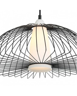 Подвесная люстра Favourite 2371-1P-foto5