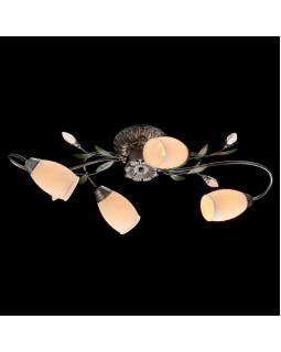 Накладная люстра MW-Light 334013504-foto2