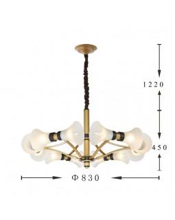 Подвесная люстра Favourite 2549-12P-foto3
