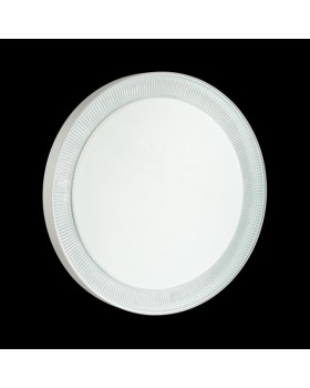 Накладной светильник Sonex 3031/DL-foto2