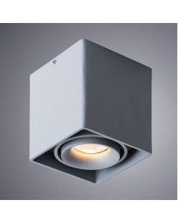 Накладной светильник ARTE Lamp A5654PL-1GY-foto2