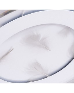 Накладной светильник ARTE Lamp A1397PL-1CL-foto3