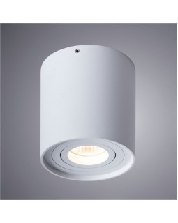 Накладной светильник ARTE Lamp A5645PL-1WH-foto2
