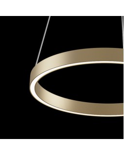 Подвесной светильник Maytoni MOD058PL-L22BS4K-foto4